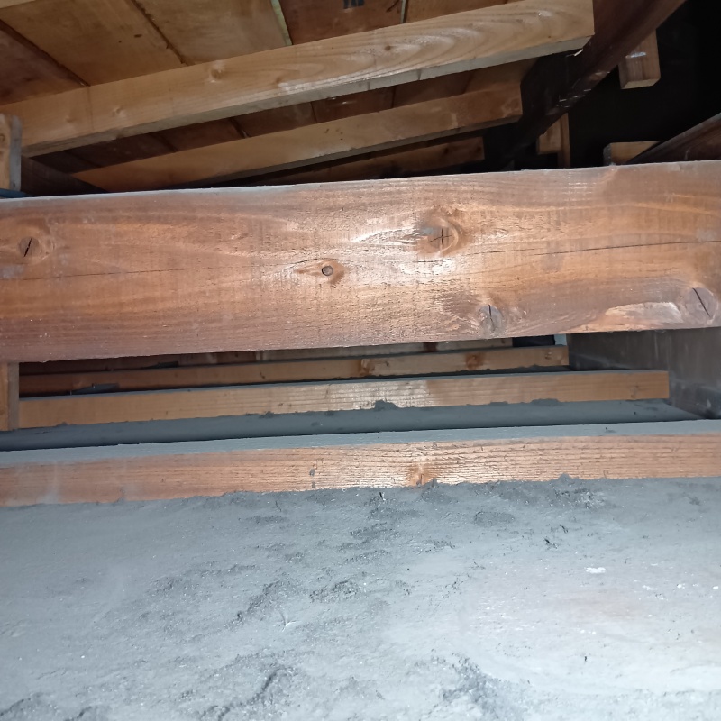 清掃が完了した様子