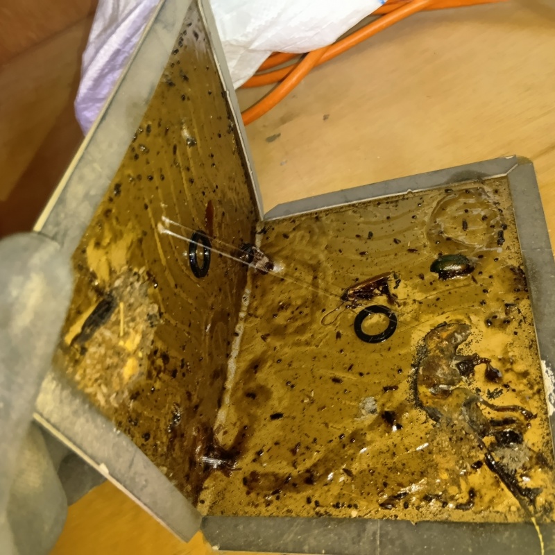 使用後の粘着シート