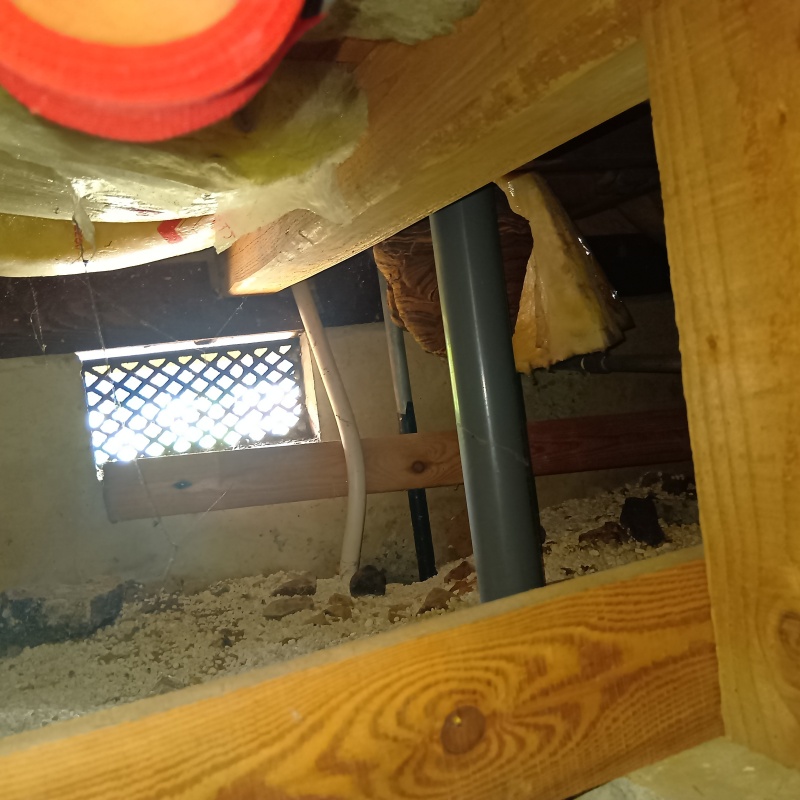 床下に作られた蜂の巣