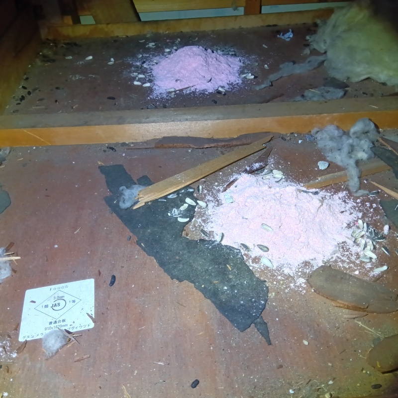 ネズミが殺鼠剤を食べたあと