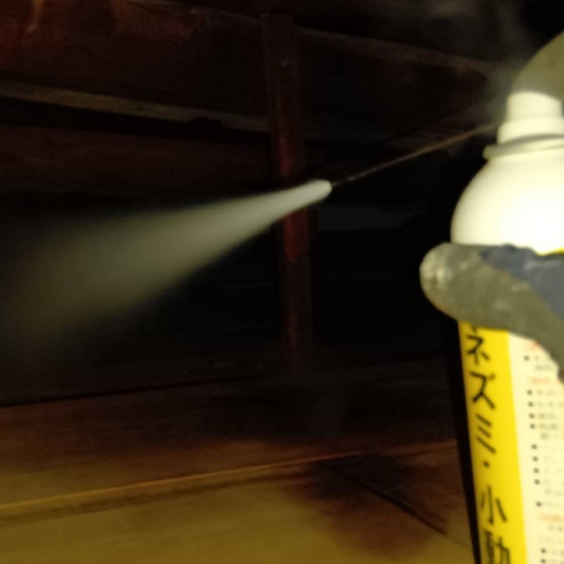 忌避スプレーを散布