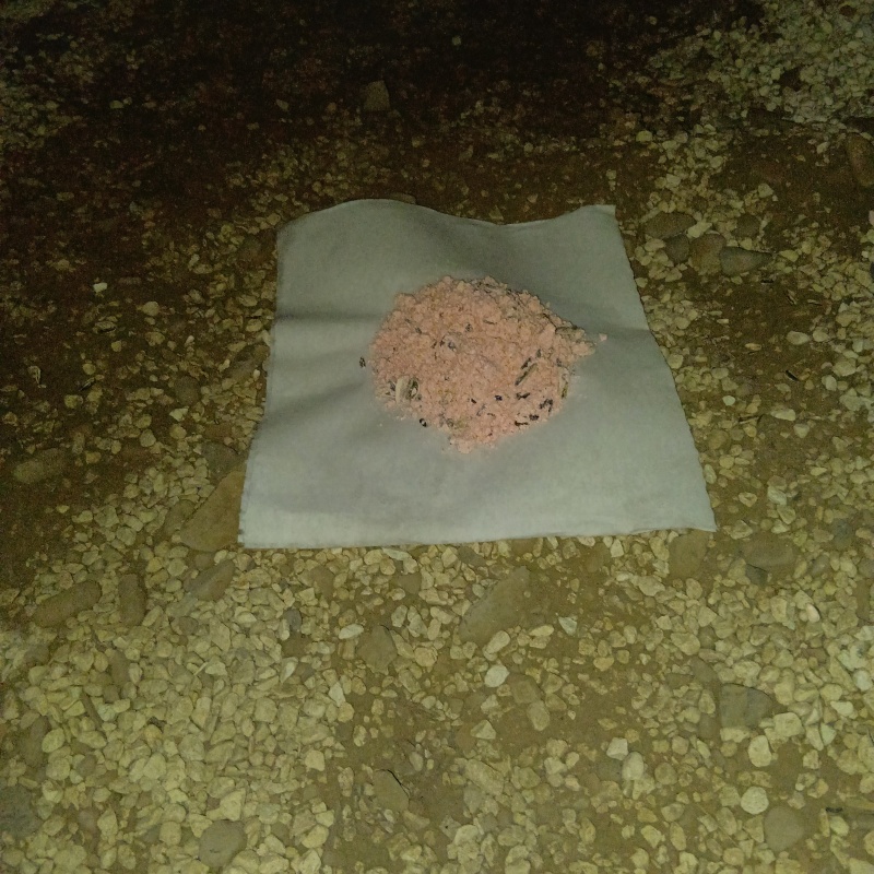 床下に殺鼠剤を設置