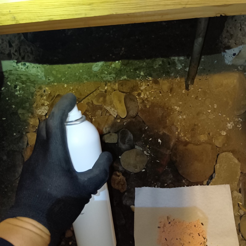 忌避スプレーを散布