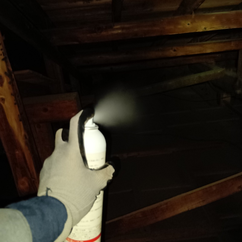 忌避スプレーを散布