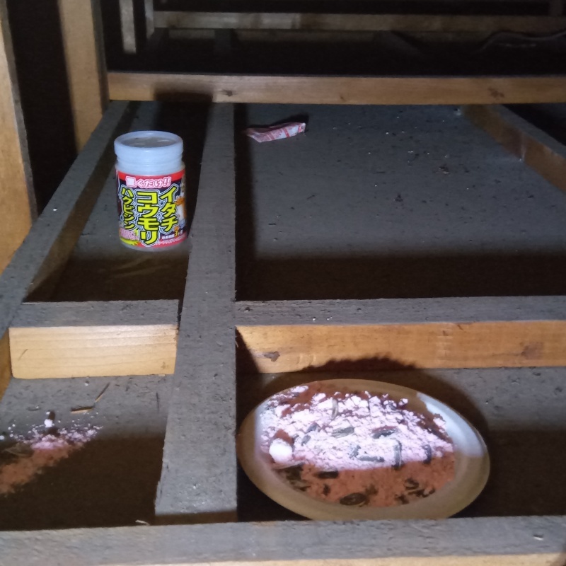 屋根裏に殺鼠剤を設置