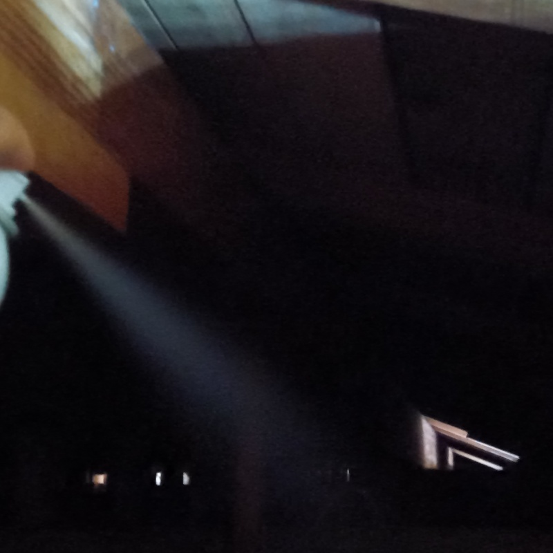 忌避スプレーを散布