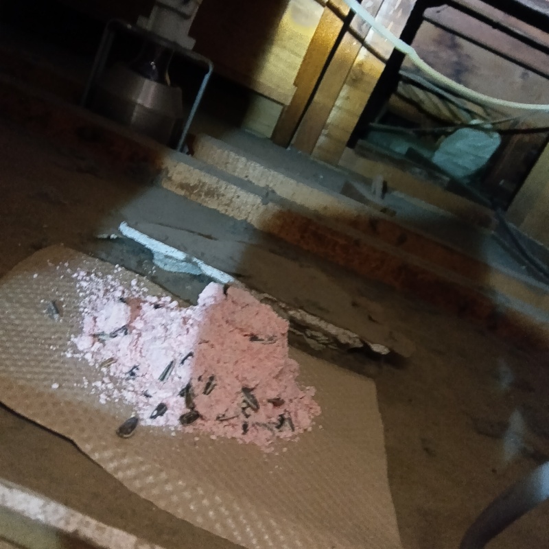 ネズミ駆除の施工事例（富山県射水市庄川本町）