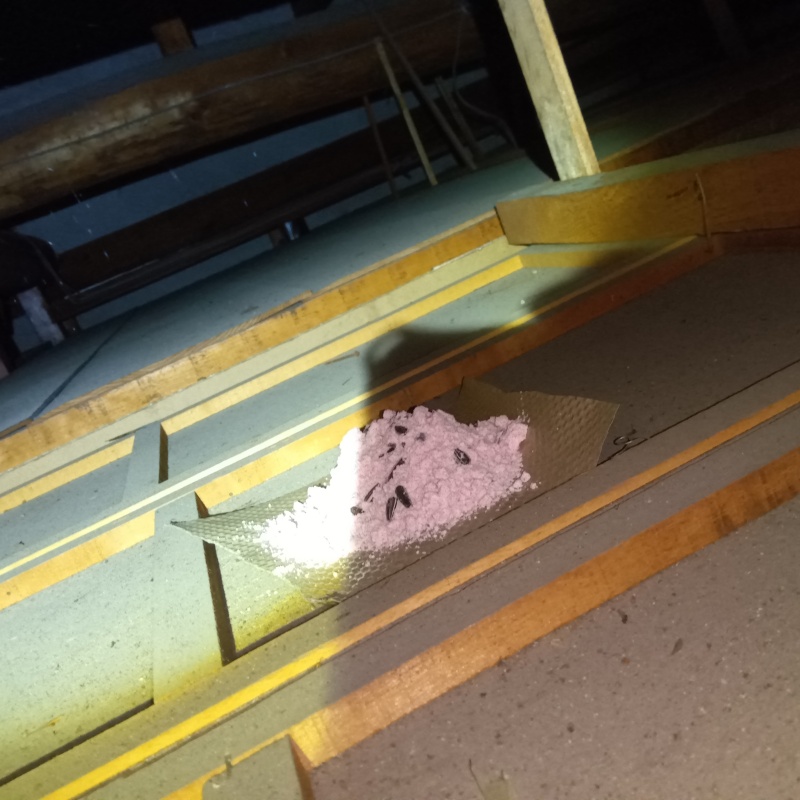 屋根裏に殺鼠剤を設置