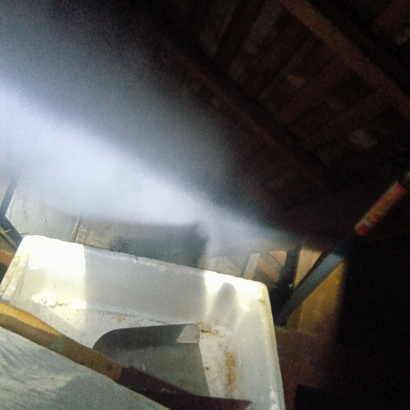 忌避スプレーを散布