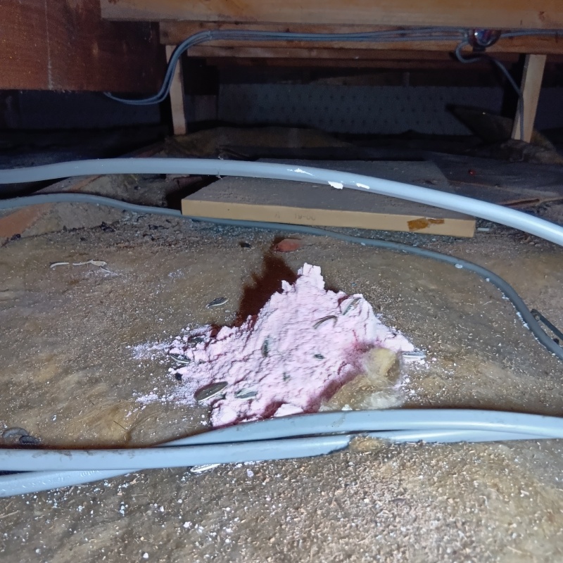 屋根裏に殺鼠剤を設置