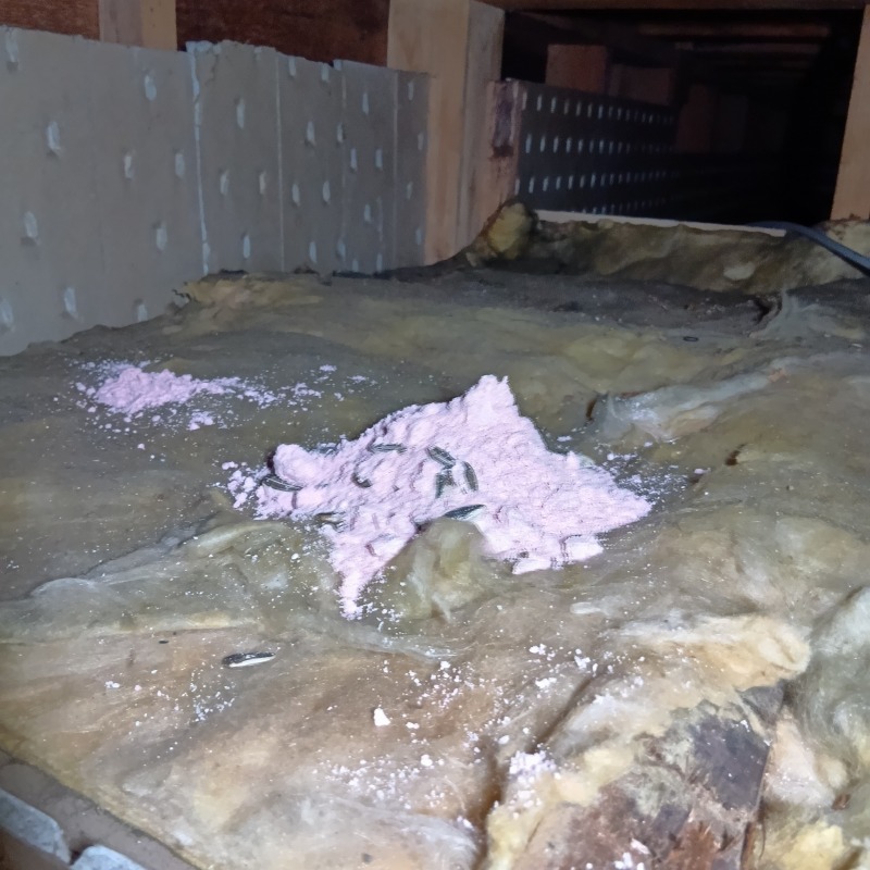 屋根裏に殺鼠剤を設置