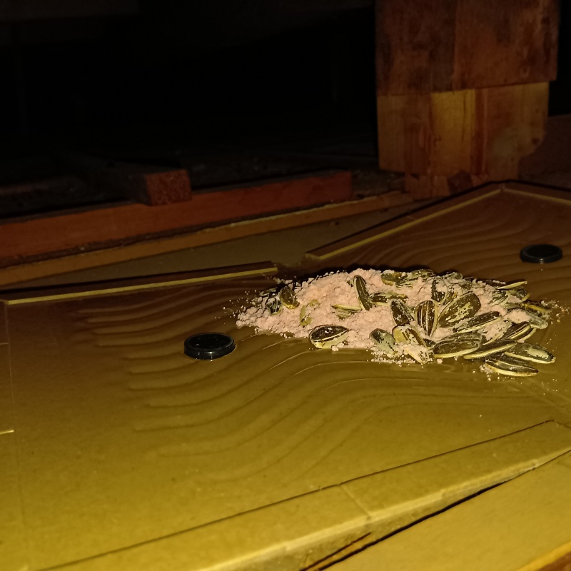 粘着シートの上に殺鼠剤を設置