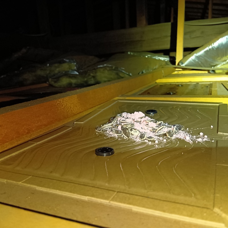 粘着シートの上に殺鼠剤を設置