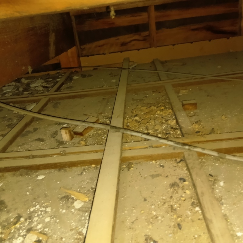 ネズミのフンなどが溜まった屋根裏