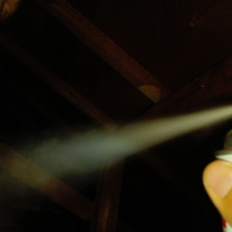 忌避スプレーを散布