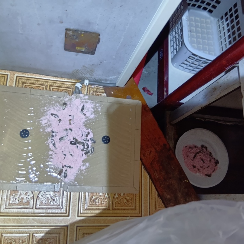 室内に床下に殺鼠剤と粘着シートを設置