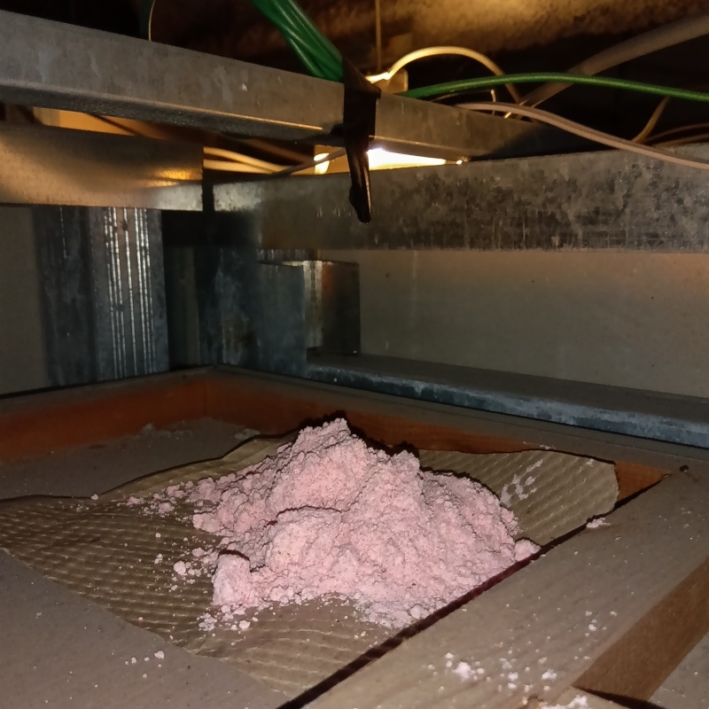 天井裏に殺鼠剤を設置