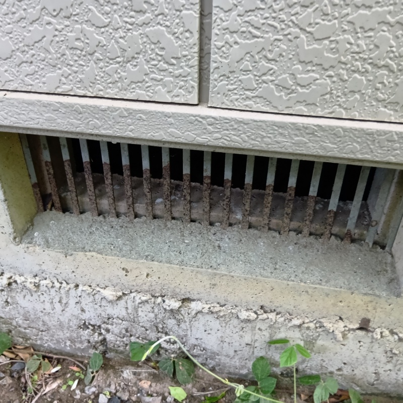 ネズミ駆除の施工事例（千葉県東金市前之内）