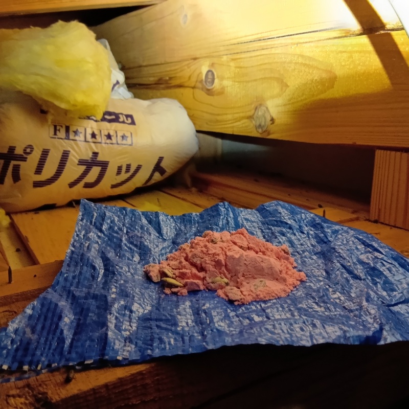 屋根裏に殺鼠剤を設置