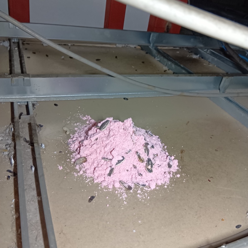 天井裏に殺鼠剤を設置