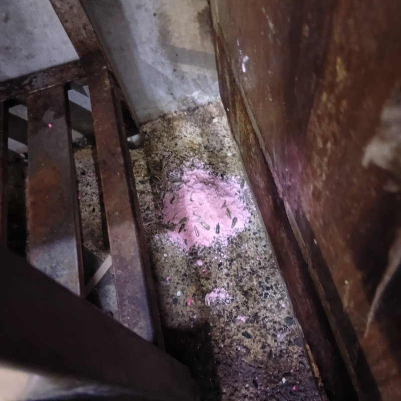 壁と壁の間に殺鼠剤を設置