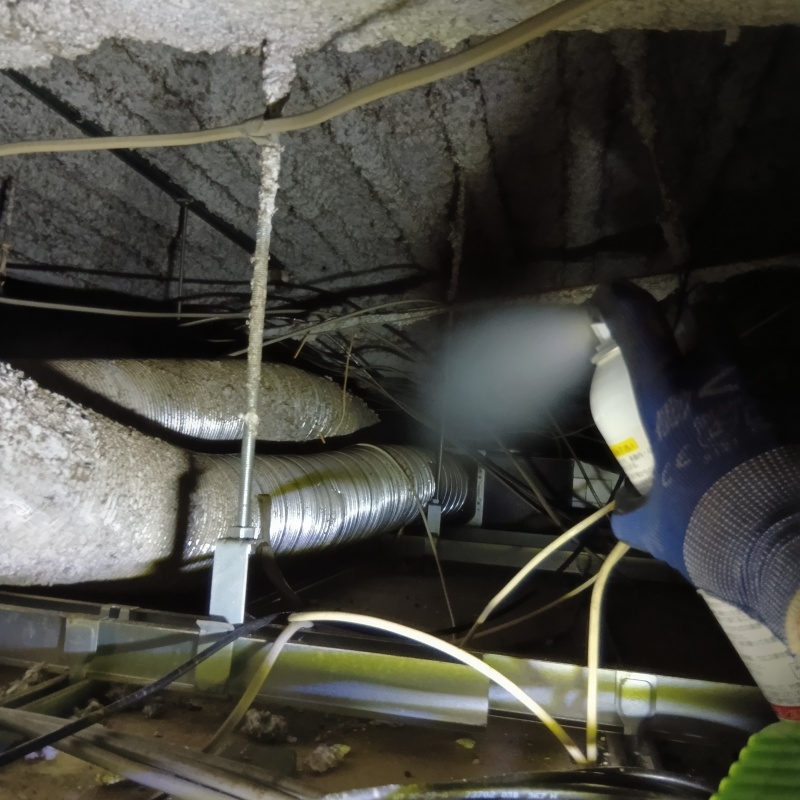 忌避スプレーを散布