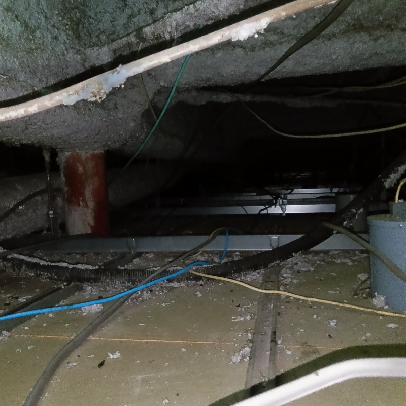 フンなどで汚れた天井裏