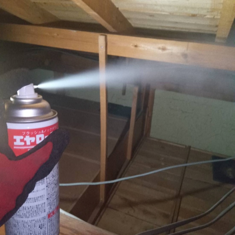 屋根裏に殺虫剤を散布