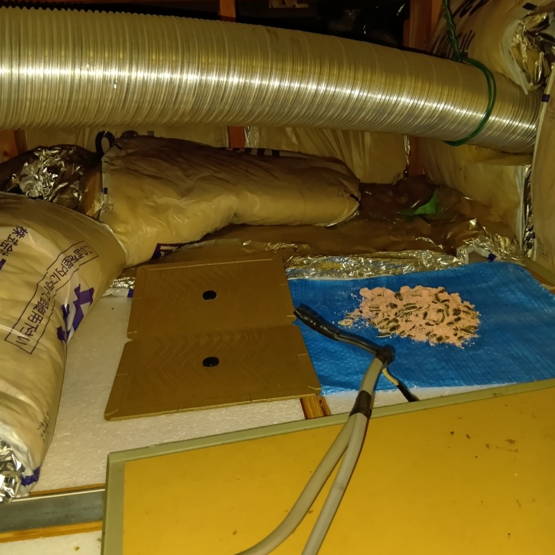 殺鼠剤と粘着シートを設置