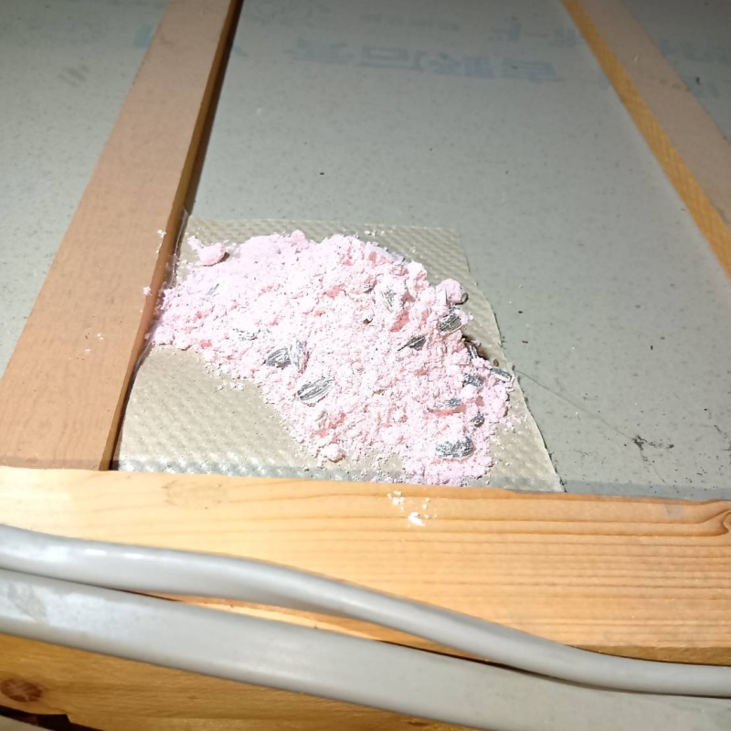 屋根裏に殺鼠剤を設置