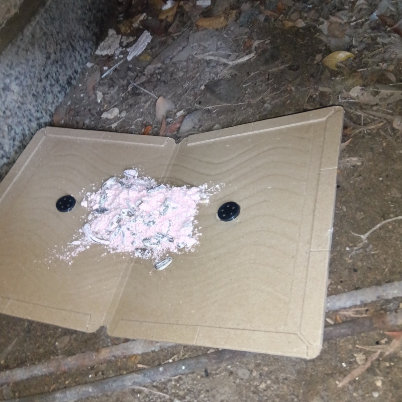 粘着シートの上に殺鼠剤を設置