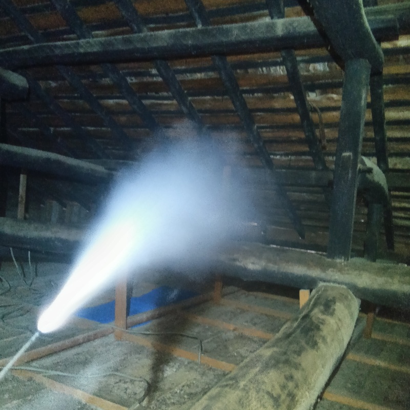 忌避スプレーを散布