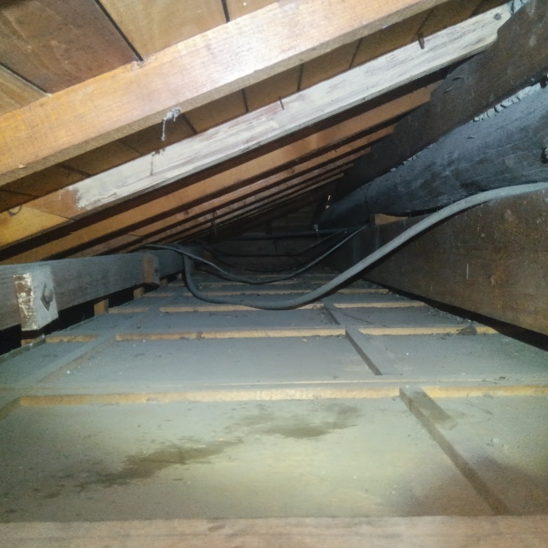 清掃が完了した屋根裏