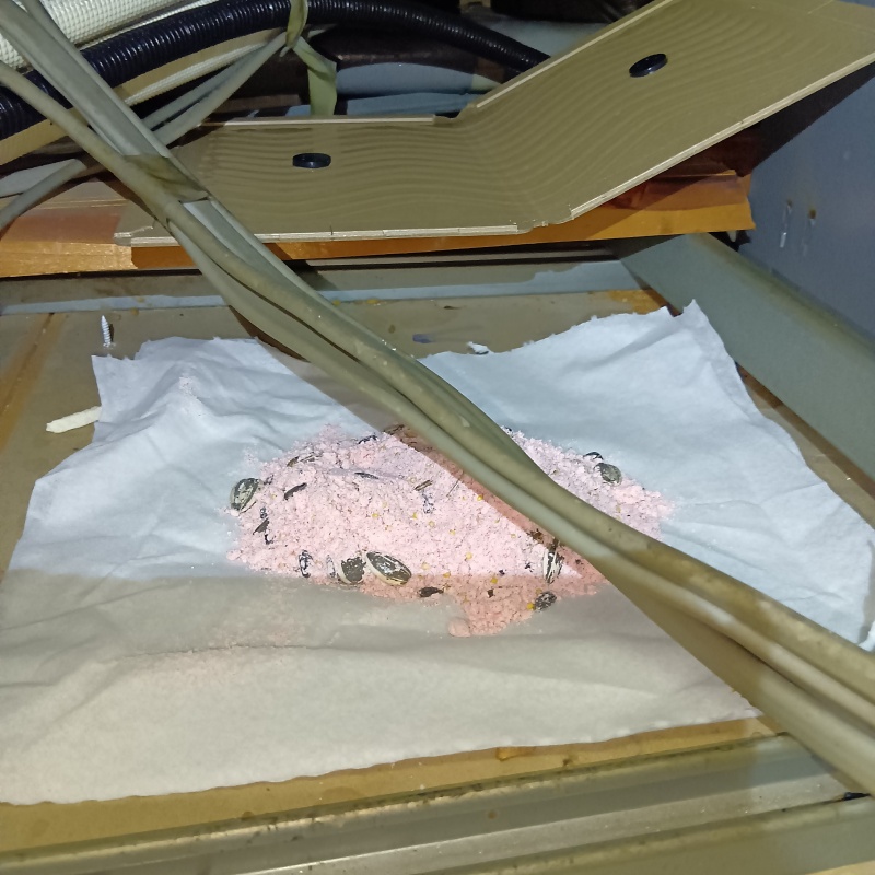 殺鼠剤と粘着シートを設置