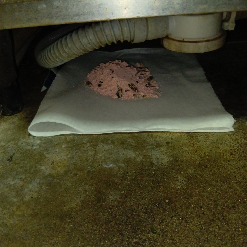 棚の下に殺鼠剤を設置