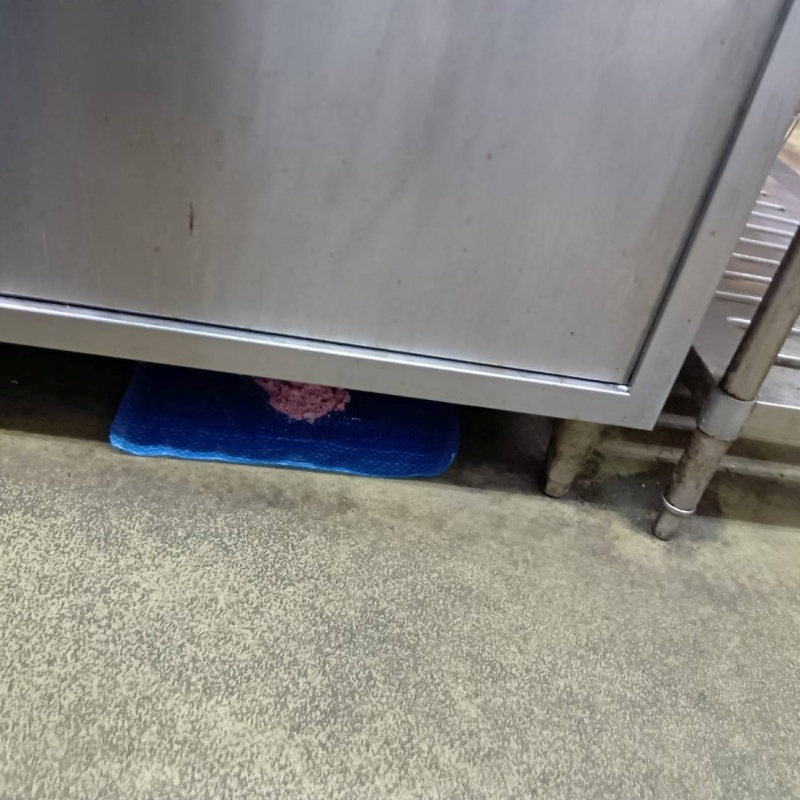 棚の下に殺鼠剤を設置