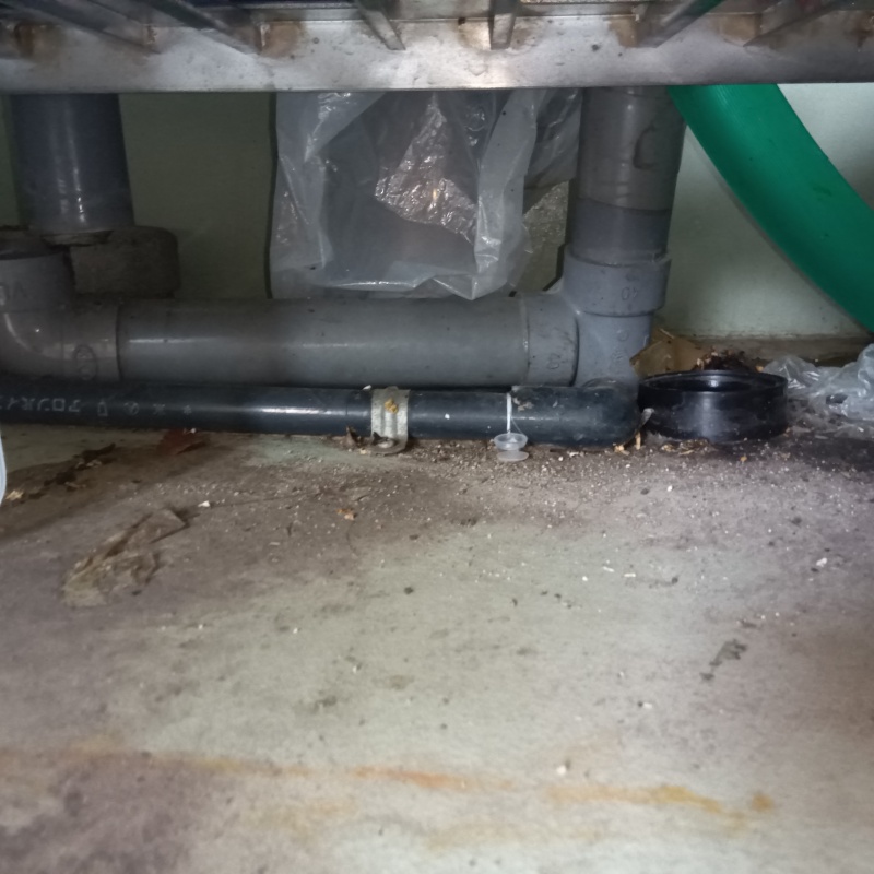 イタチ駆除の施工事例（石川県金沢市）