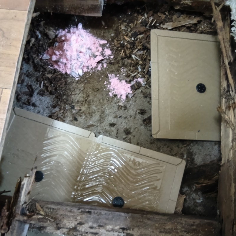 ネズミ駆除の施工事例（千葉県市川市新田）