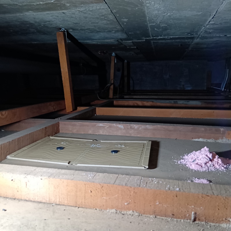 屋根裏に殺鼠剤と粘着シートを設置