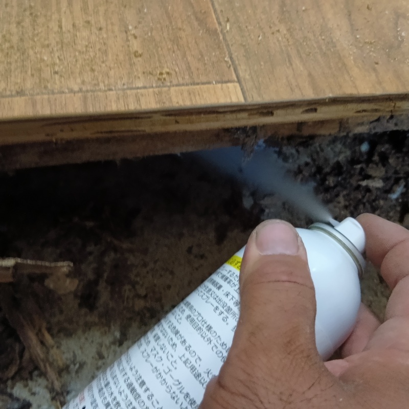 床下に忌避スプレーを散布