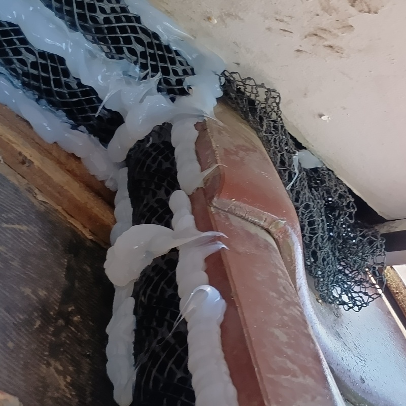 天井のすき間を封鎖