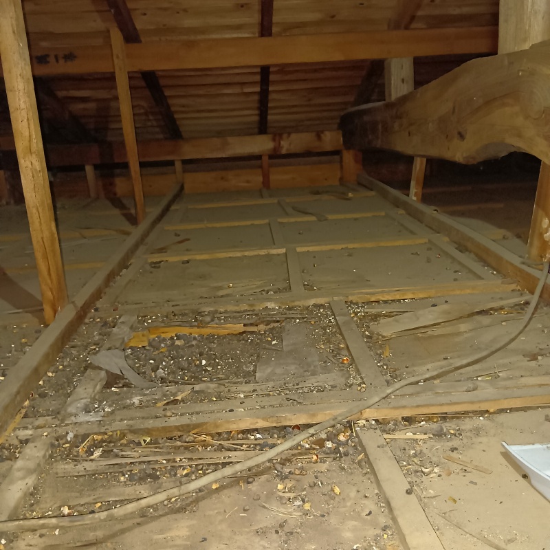 屋根裏のフンを片付けた様子
