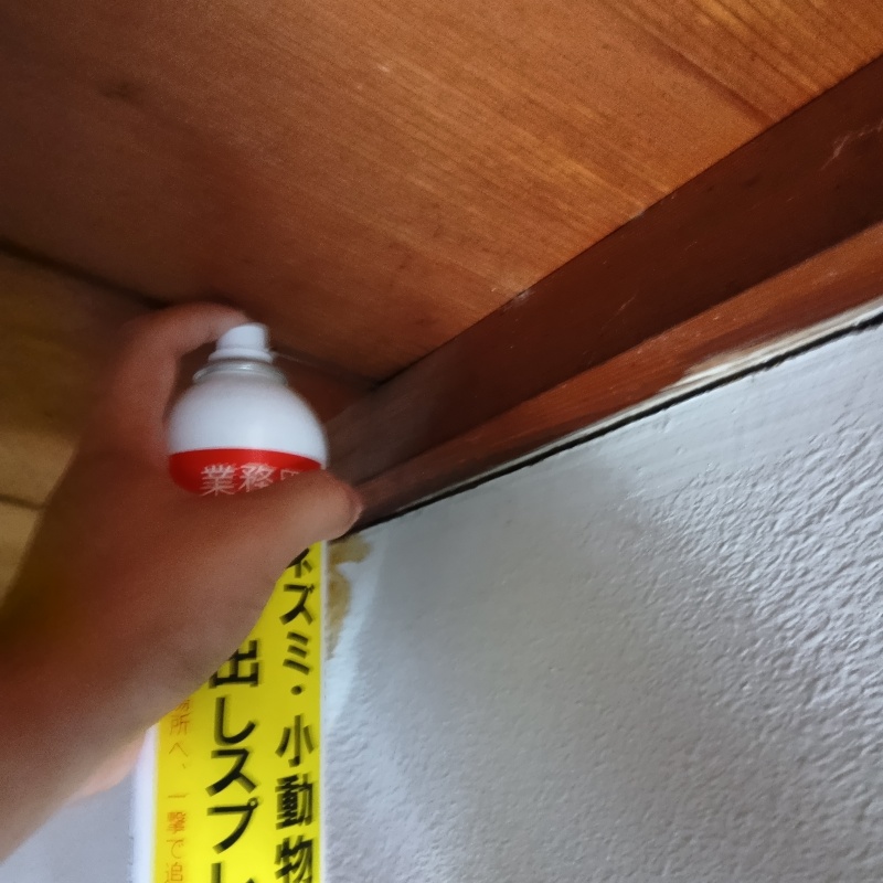 天井裏に忌避スプレーを散布