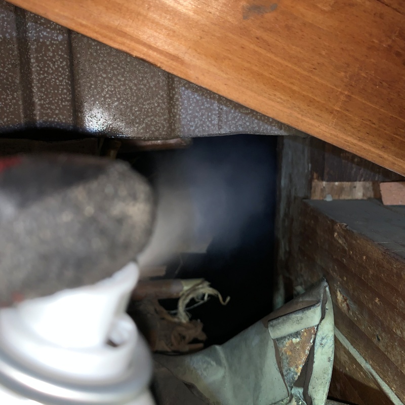 忌避スプレーを散布