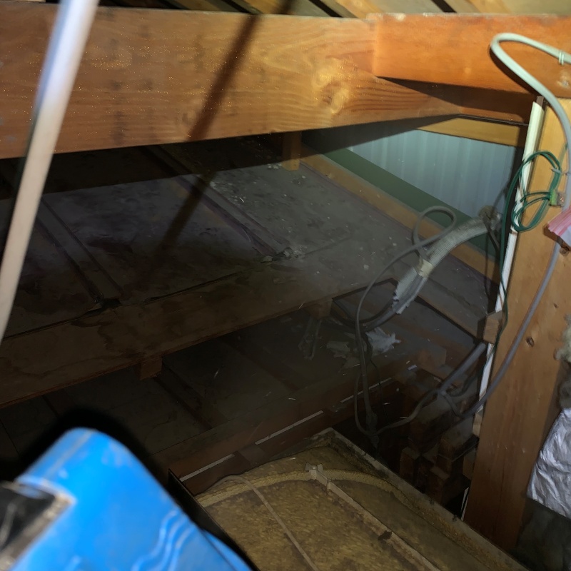 噴霧器で薬剤を散布