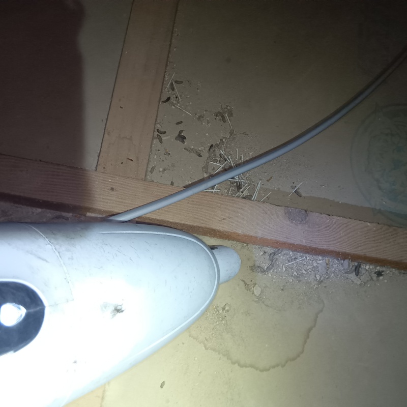 掃除機でフンを回収