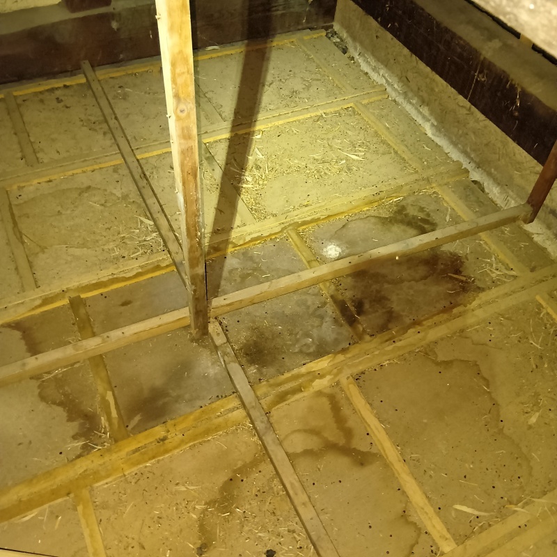 ハクビシン駆除の施工事例（宮城県大崎市岩出山上磯田田中）