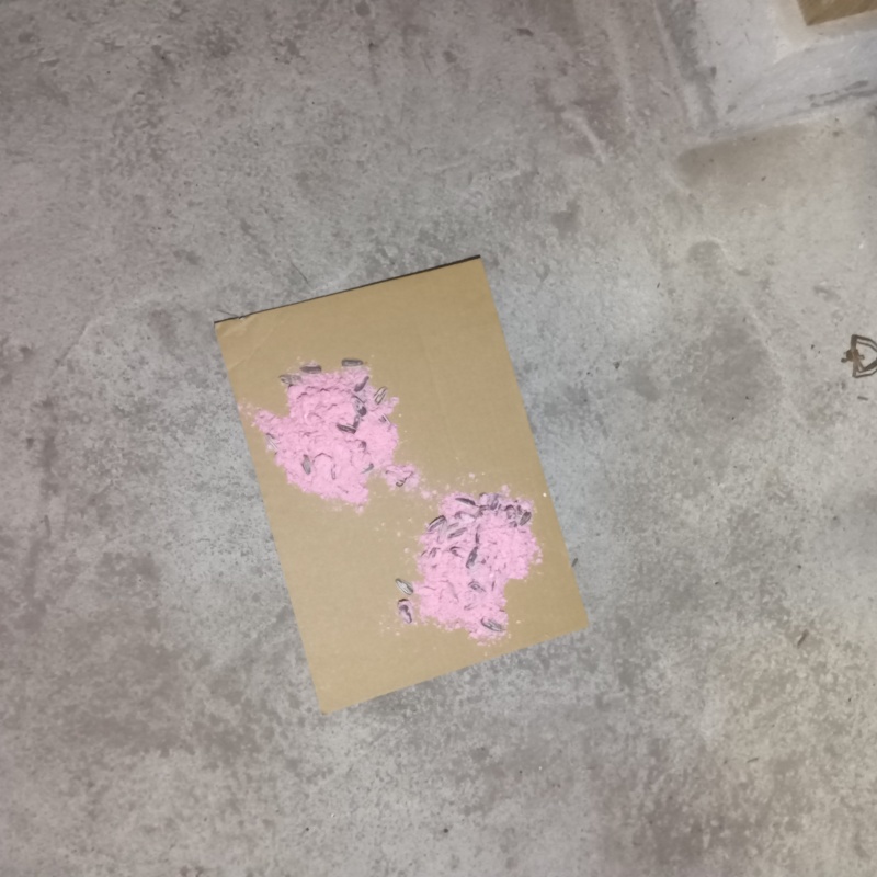 床下に殺鼠剤を設置