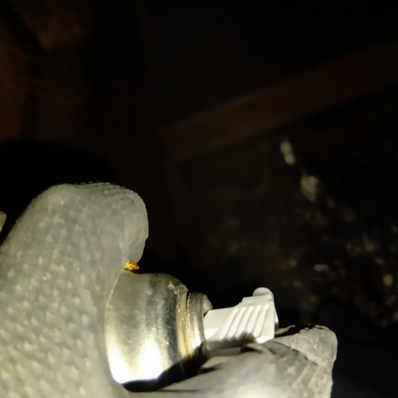 天井裏に忌避スプレーを散布