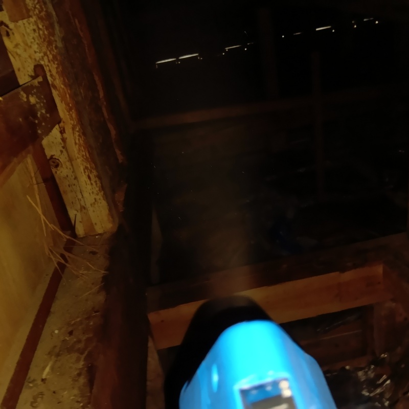 噴霧器で薬剤を散布